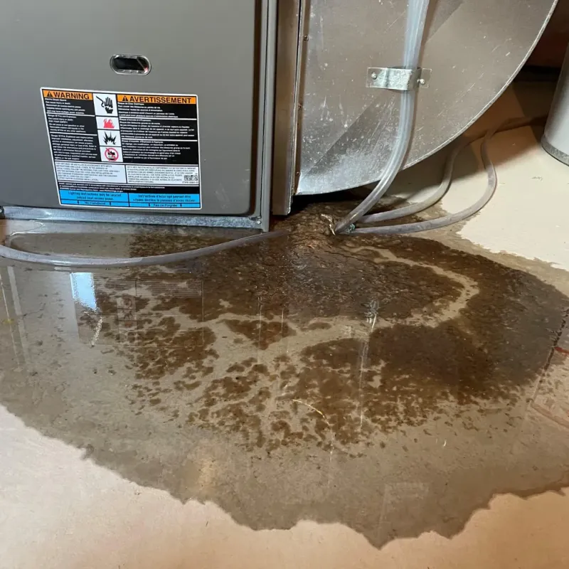 Appliance Leak Cleanup in Corning, IA